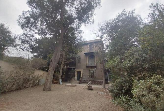 58497196 - صورة العقار 2