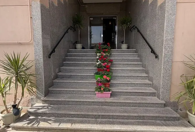 75400851 - صورة العقار 3