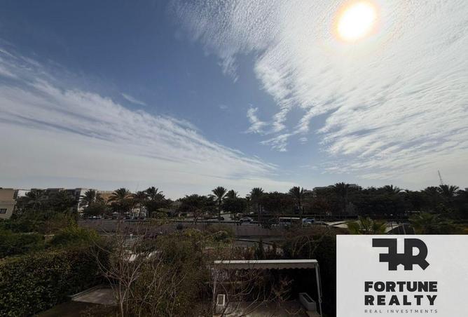 57247551 - Property Image 2