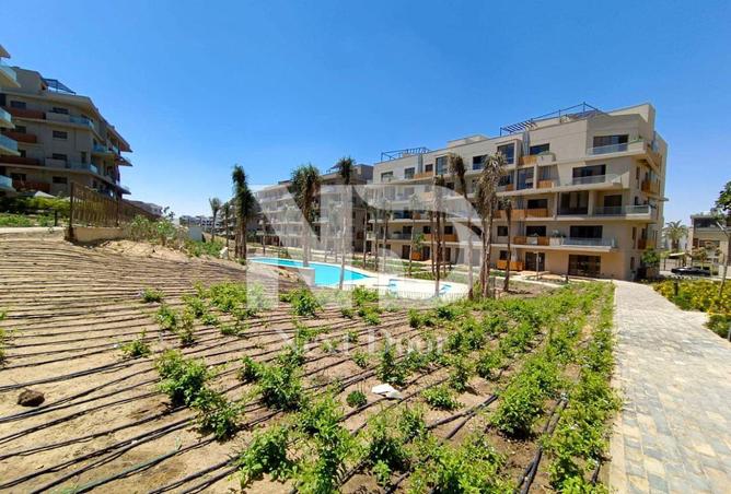 52451787 - Property Image 2