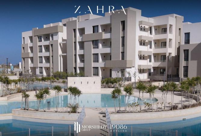 8713293 - صورة العقار 3