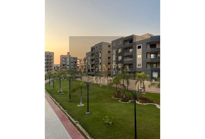 53718669 - صورة العقار 3