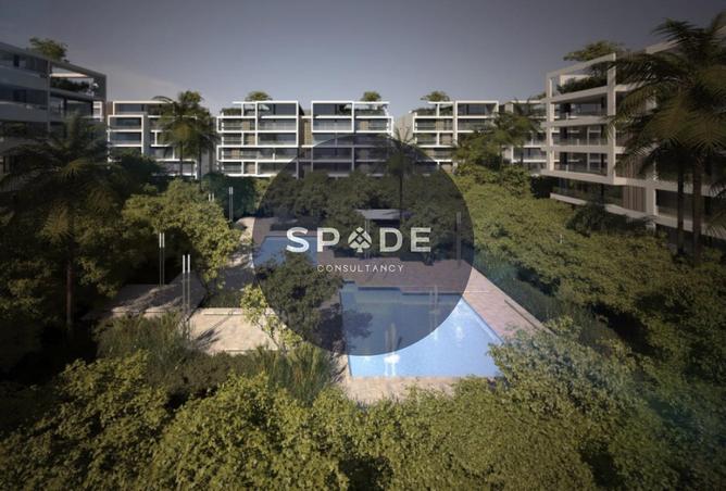 62892068 - Property Image 3