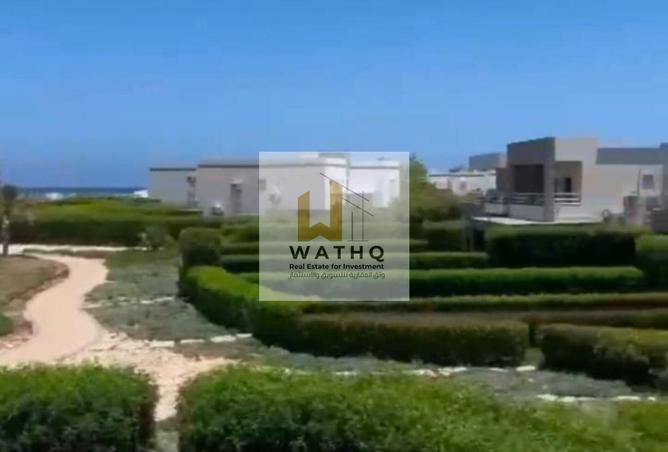 90162987 - Property Image 2