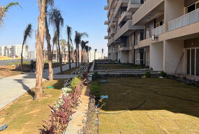 58996401 - Property Image 3