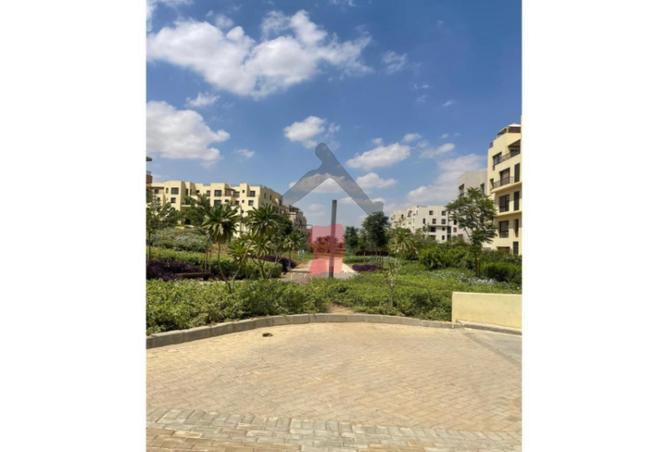 71642041 - صورة العقار 3