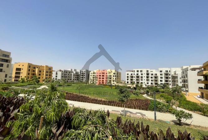 71642041 - صورة العقار 2