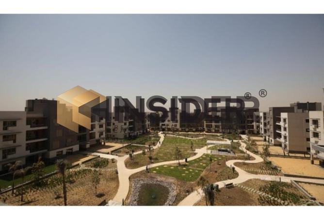 8595153 - Property Image 3