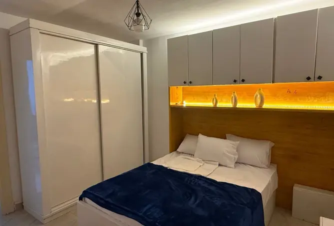 117273603 - Property Image 2