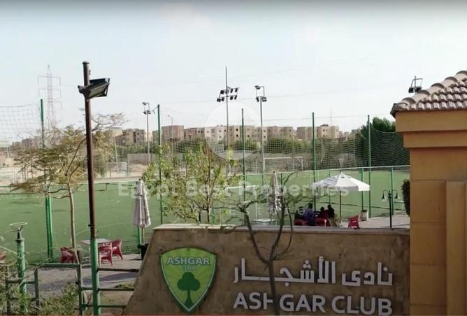 54501587 - صورة العقار 3