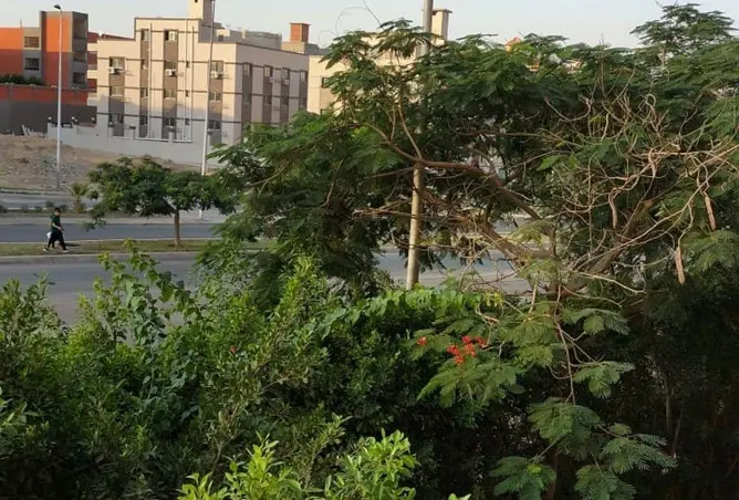 59486891 - صورة العقار 2
