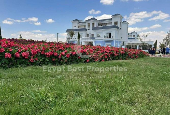 53721398 - Property Image 3