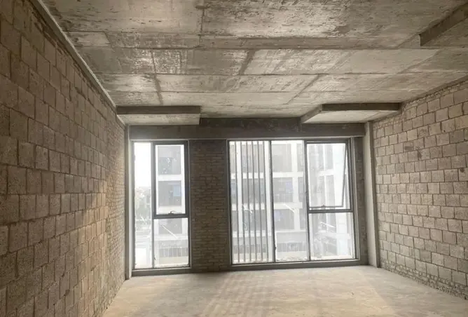 111313351 - Property Image 3