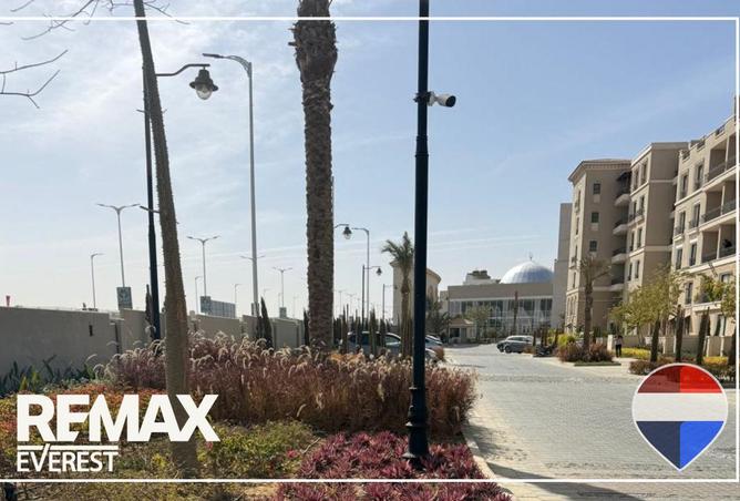 57495501 - صورة العقار 2