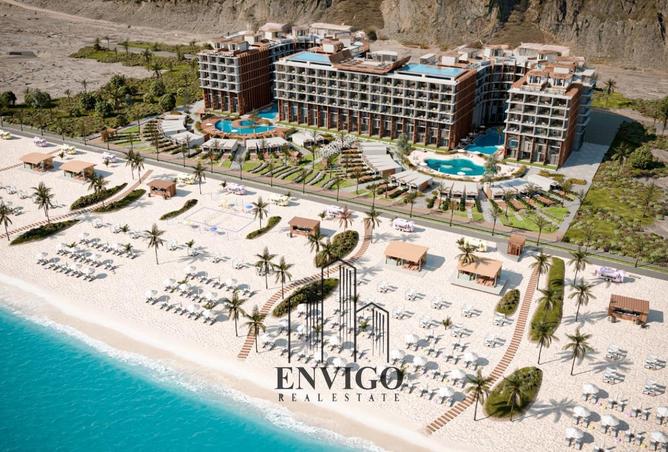 8537624 - Property Image 3