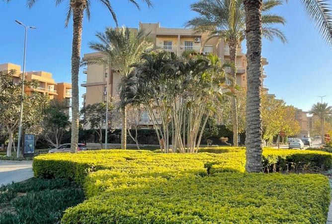 61692127 - الصورة الرئيسية للعقار