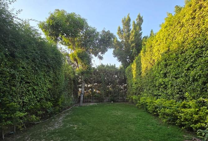 105169712 - صورة العقار 2
