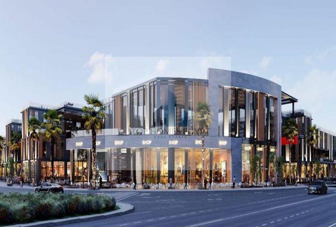 8694887 - صورة العقار 3