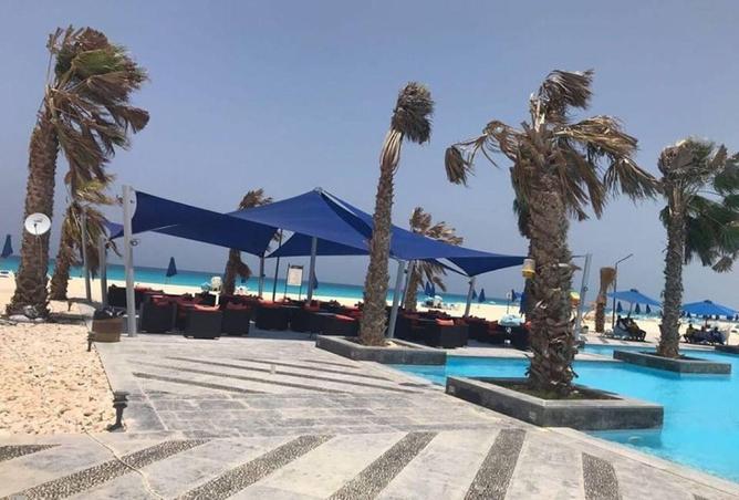 59743668 - صورة العقار 3