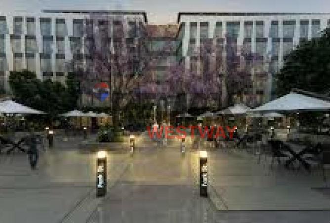 8674285 - Property Image 3