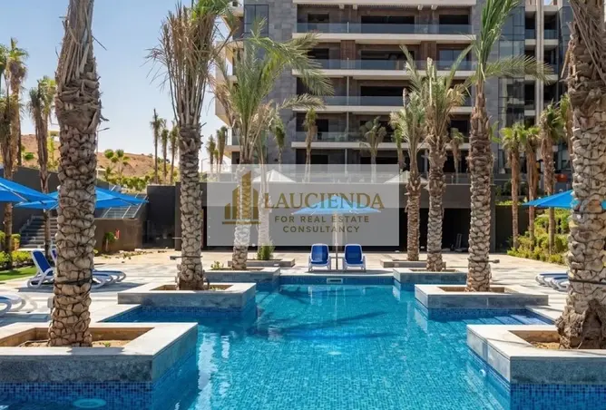115446367 - Property Image 2