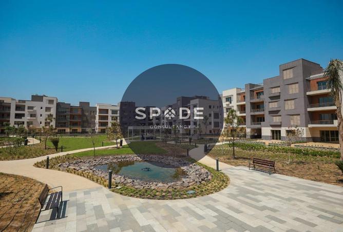 70629091 - Property Image 2