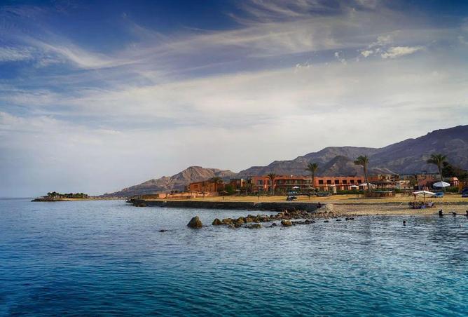 66425935 - صورة العقار 3