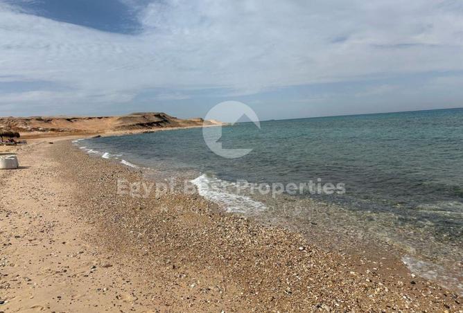 8476358 - Property Image 3