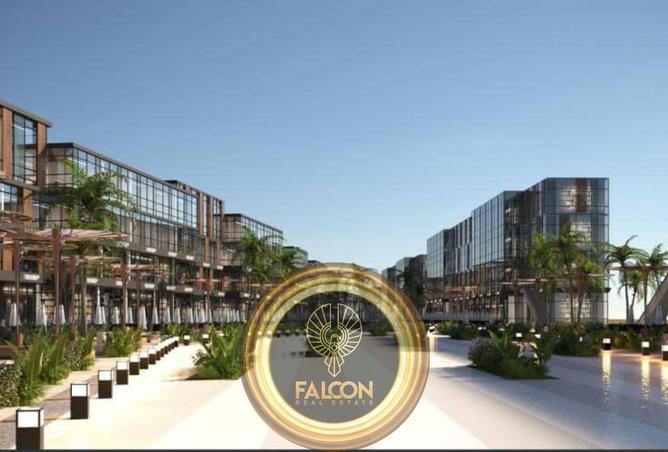 65912724 - صورة العقار 3