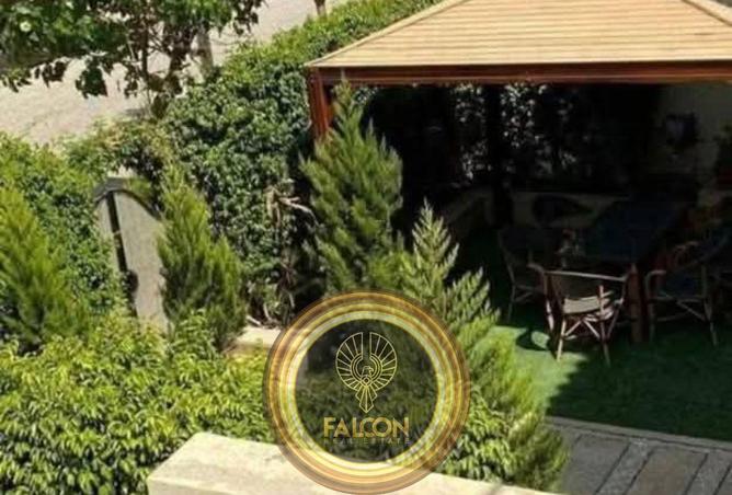 64137799 - صورة العقار 3