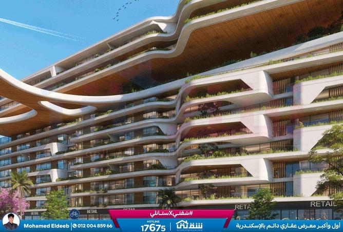 8625458 - Property Image 3