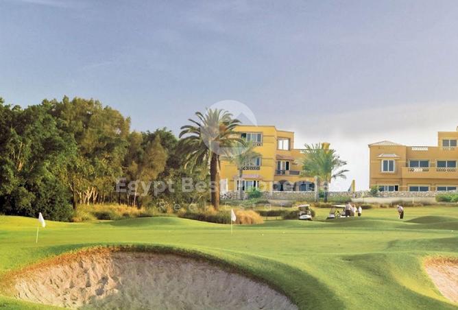 8590534 - Property Image 2