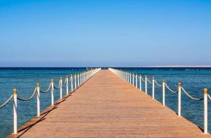 شقة - غرفة نوم - 1 حمام للبيع في سكانديك ريزورت - منتجعات الغردقة - الغردقة - محافظة البحر الاحمر شقة - غرفة نوم - 1 حمام للبيع في سكانديك ريزورت - منتجعات الغردقة - الغردقة - محافظة البحر الاحمر