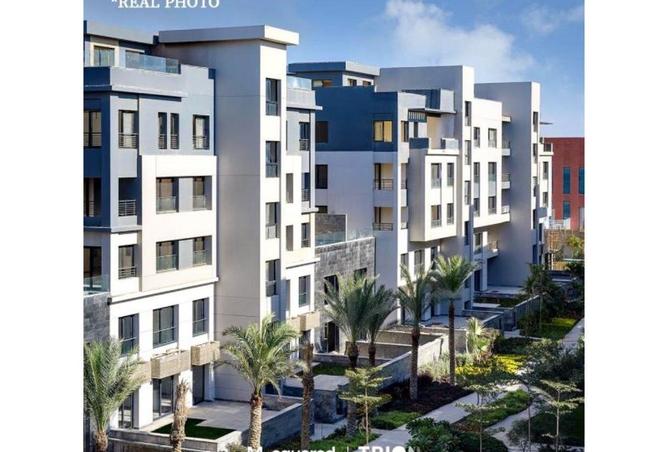 58495287 - Property Image 3