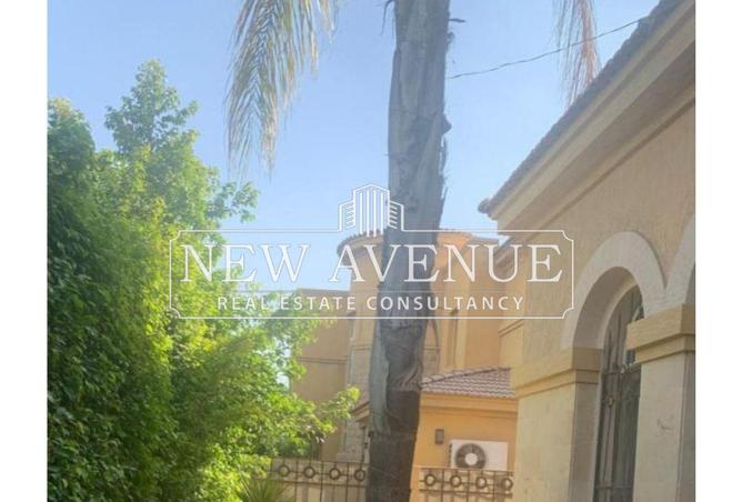 63386127 - Property Image 2