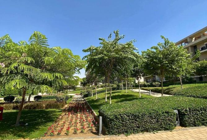 54762240 - Property Image 3