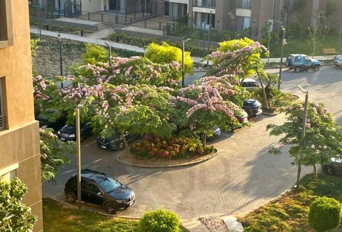 106843721 - صورة العقار 3