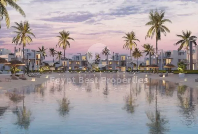 116742298 - Property Image 3