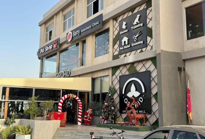 59493908 - Property Image 2