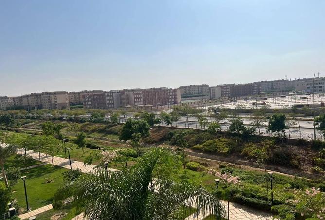 85599274 - Property Image 2