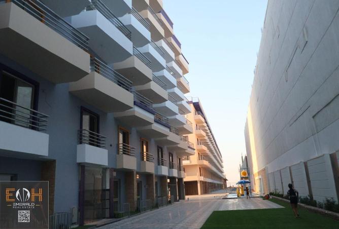 77613524 - Property Main Image