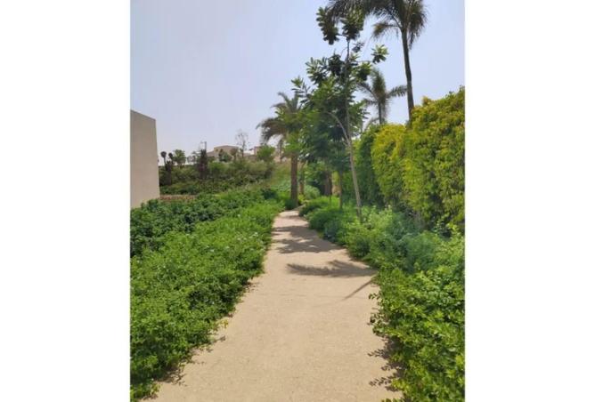 54504413 - صورة العقار 2