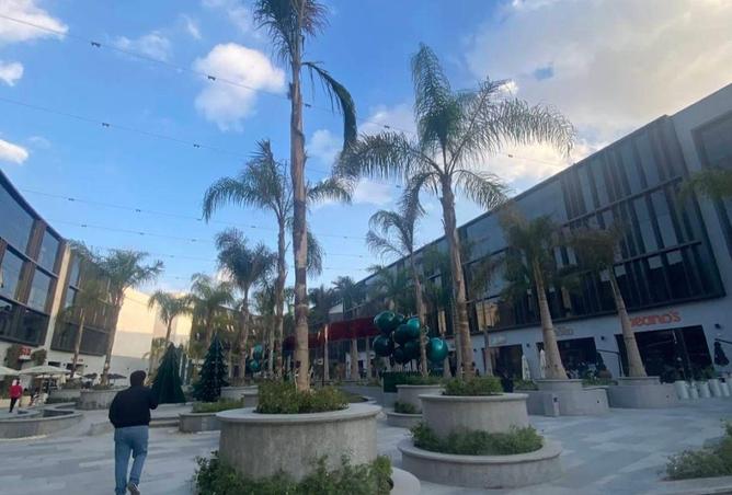 63137039 - صورة العقار 2