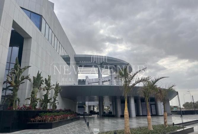98816201 - Property Image 3