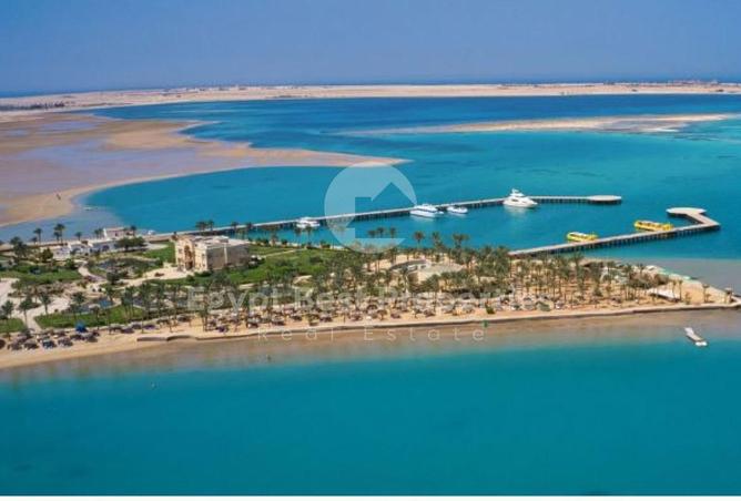 100095798 - صورة العقار 2