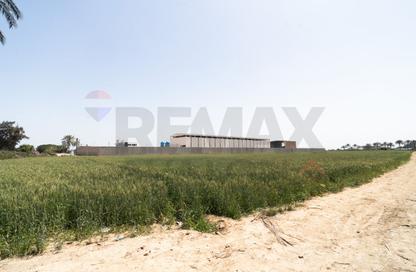 Land - Studio for sale in Alexandria Desert Road - Al Amereyah Gharb - Hay Al Amereyah - Alexandria