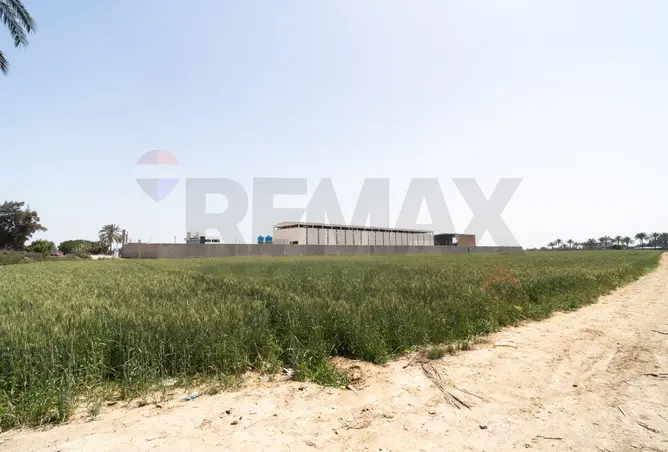 100924686 - Property Image 2