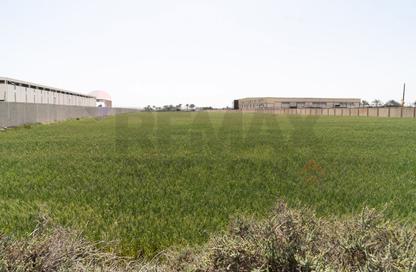 Land - Studio for sale in Alexandria Desert Road - Al Amereyah Gharb - Hay Al Amereyah - Alexandria