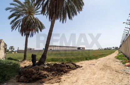 Land - Studio for sale in Alexandria Desert Road - Al Amereyah Gharb - Hay Al Amereyah - Alexandria