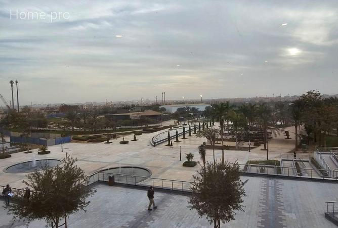 53973569 - Property Image 3